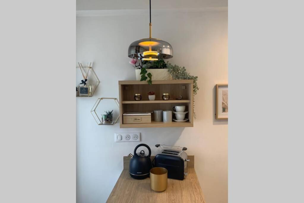 Joli Appartement Haut Standing En Hyper Centre Toulouse Bagian luar foto